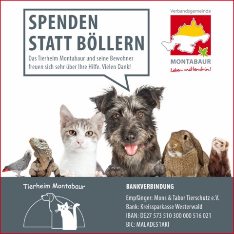 20 KW51 Tierheim SpendenStattBöllern Anzeige